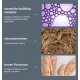 Stabilizing Repair Cream